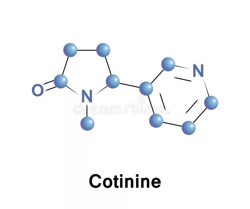 Котинин что это. Котинин формула. Метаболизм никотина. Никотин котинин. Молекула никотина.