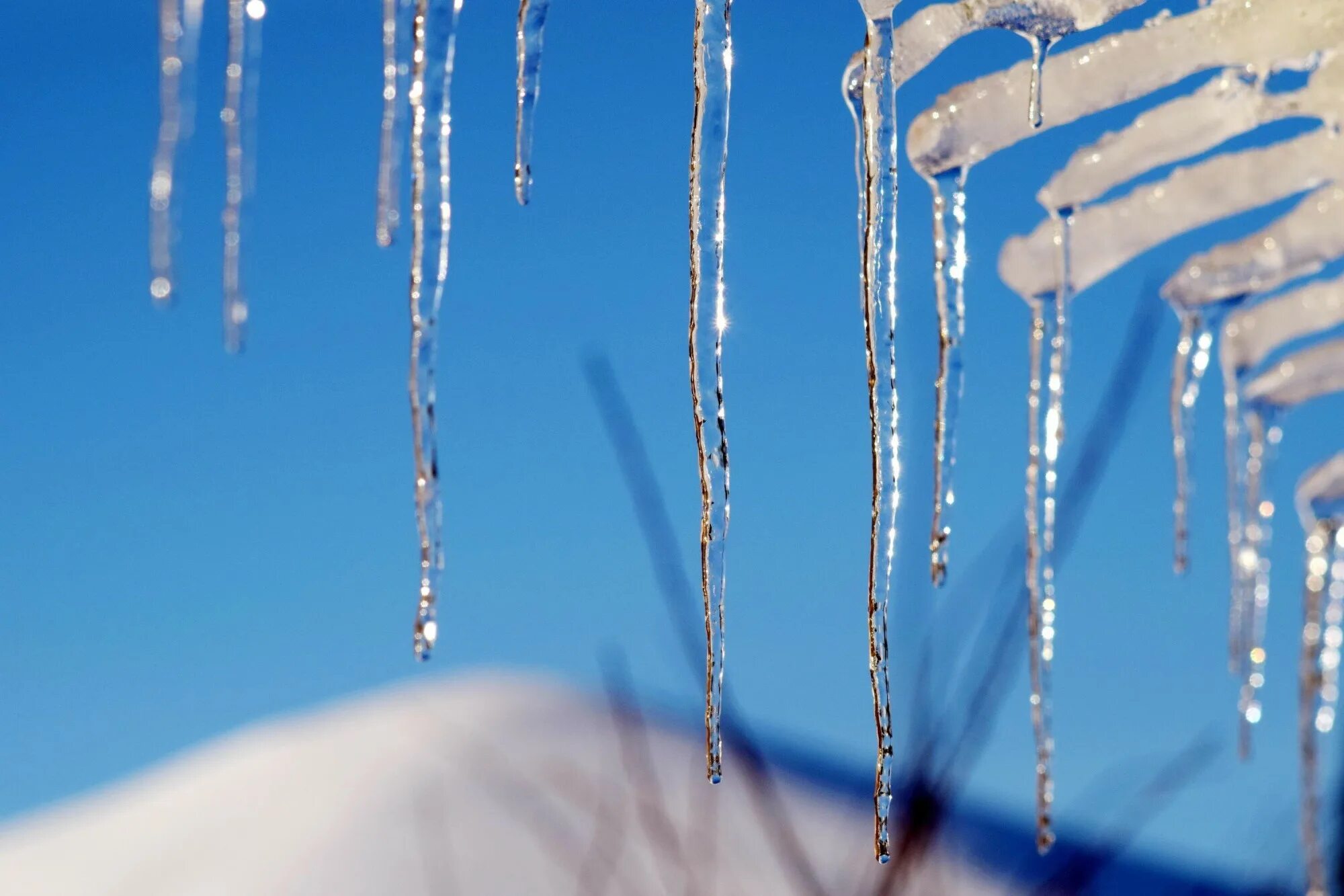 Капли тающего снега. Март капель. Весна капель. Сосульки тают. Таяние снега.