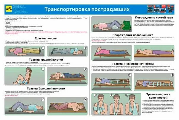 Установите соответствие между травмами состояниями
