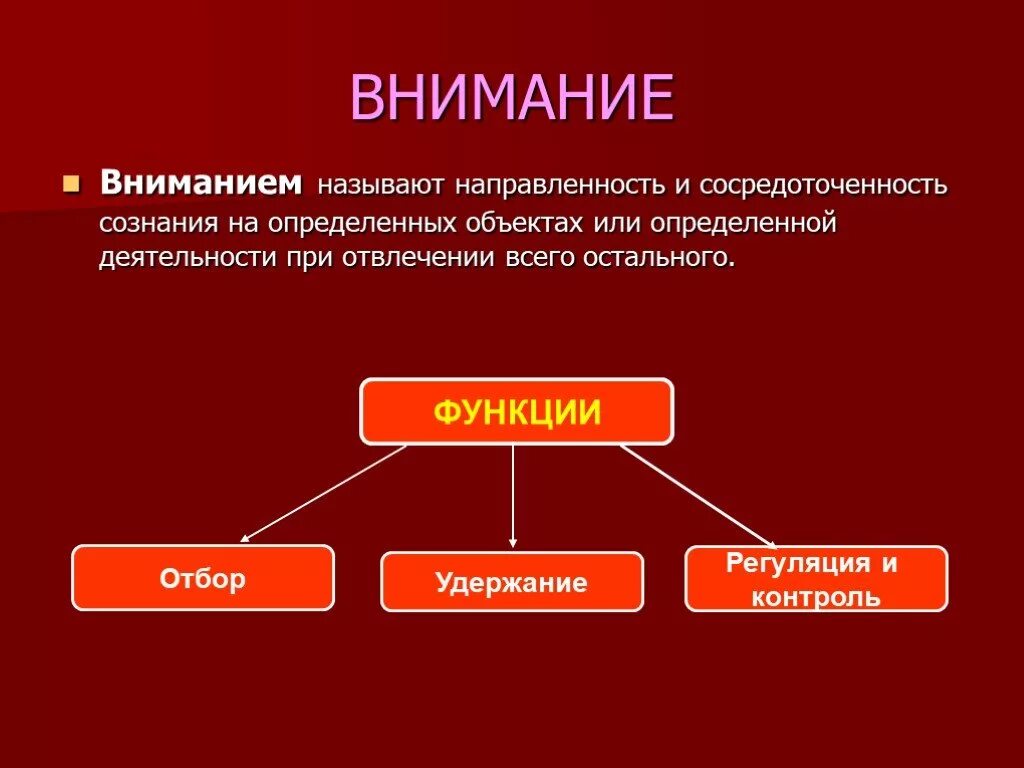 Память относится к психическим