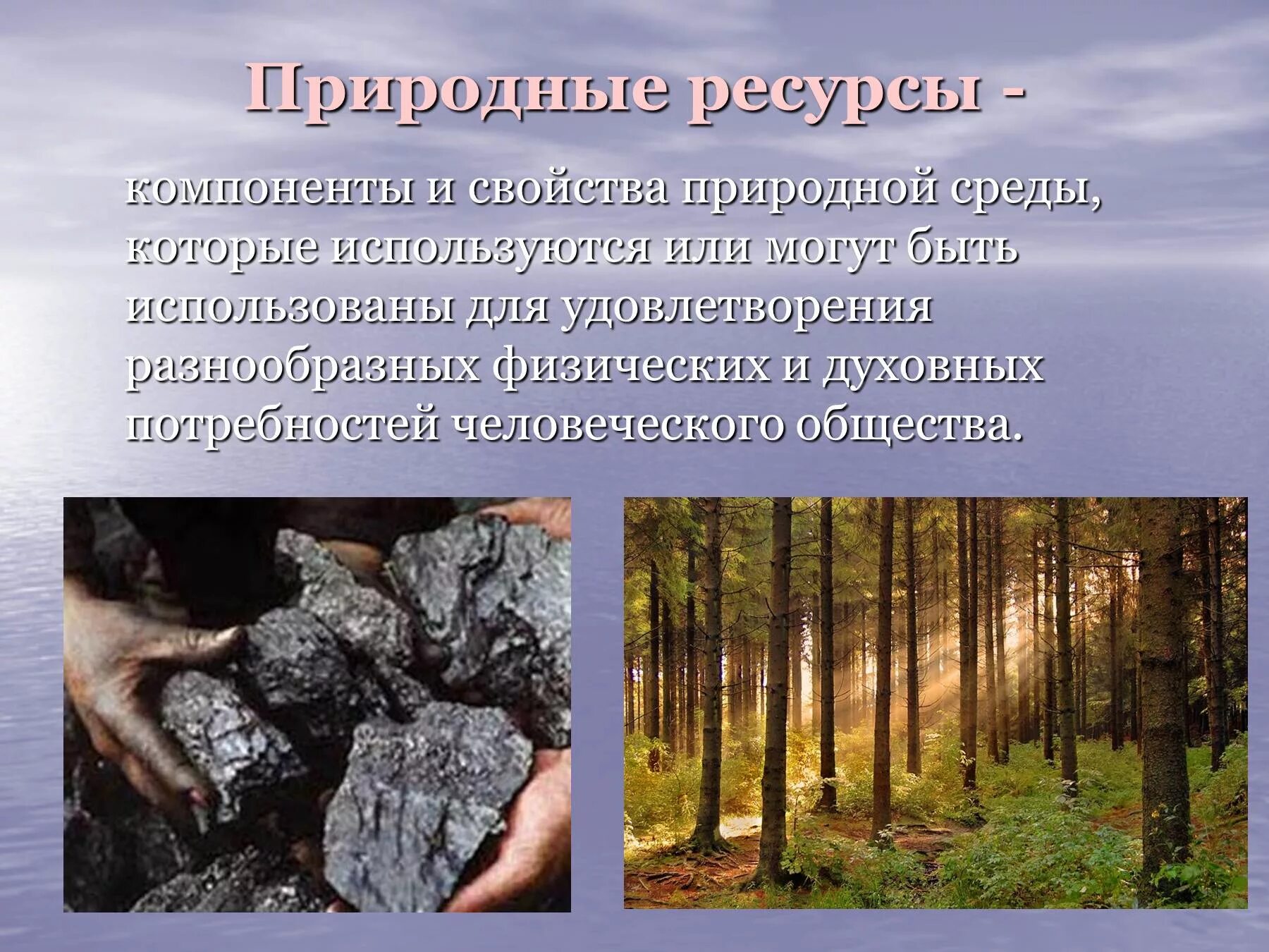 К природным ресурсам можно отнести. Природные ресурсы. Ресурсы природы. Природные ресурсы компоненты. Природные ресурсы это в экологии.