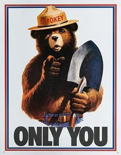 Only bear