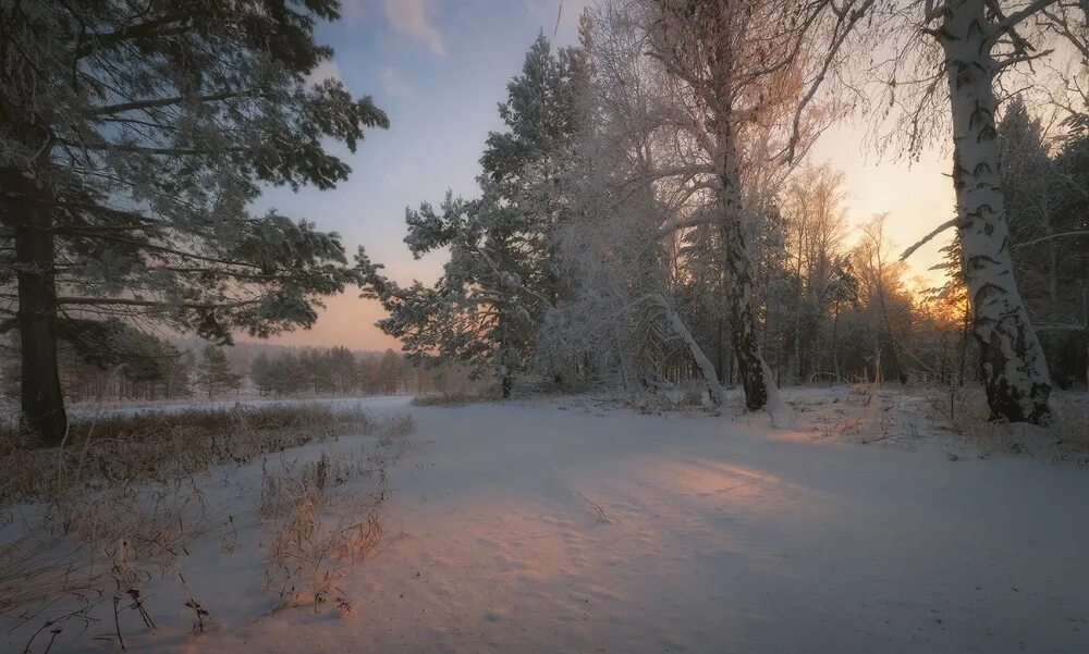 Вечер декабрь. Лес в декабре. Декабрьский пейзаж. Декабрьский лес. Декабрь зимний лес.