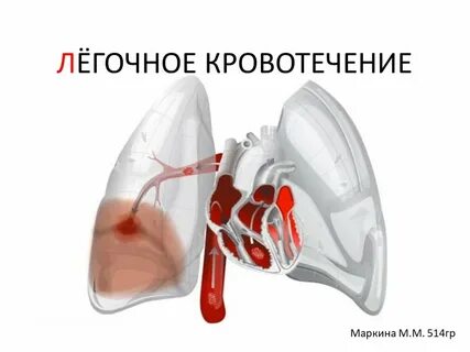 Легочное кровотечение введение
