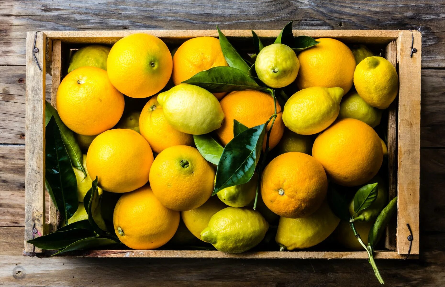 Турецкие лимоны фото. Ящик с лимонами. Лимонные ящики. Лимоны на рынке. Ящик с лимонами.