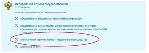 Отправить статистику в росстат через сайт