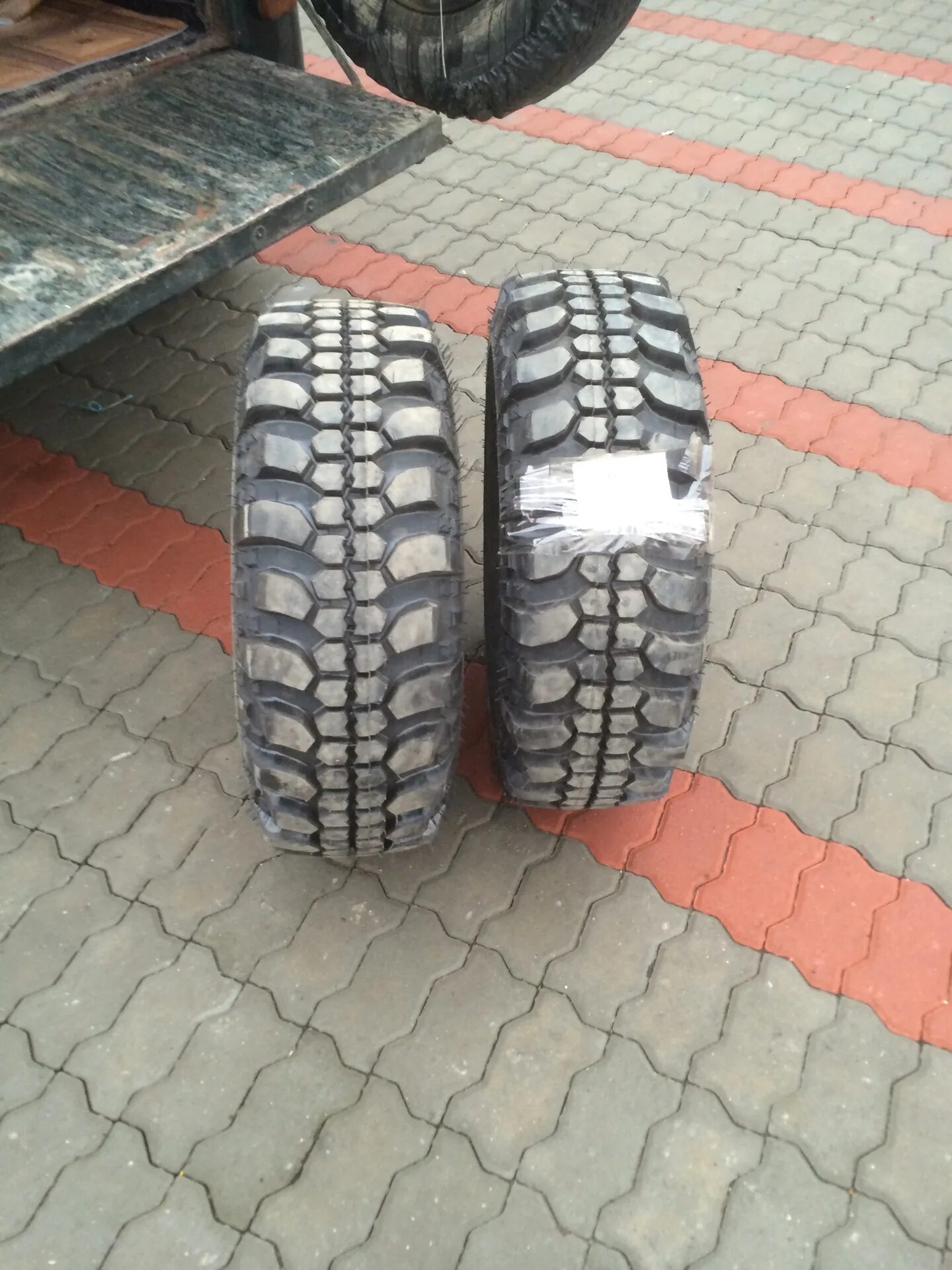 Сафари 500 31х10. 5. Форвард сафари 500. 31 10. Forward forward safari 500 31/10.