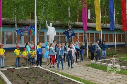 Лагерь гвоздика