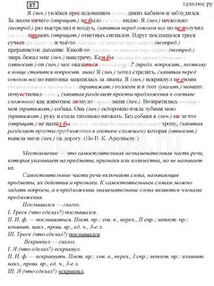 Я увлекся преследованием диких кабанов и заблудился