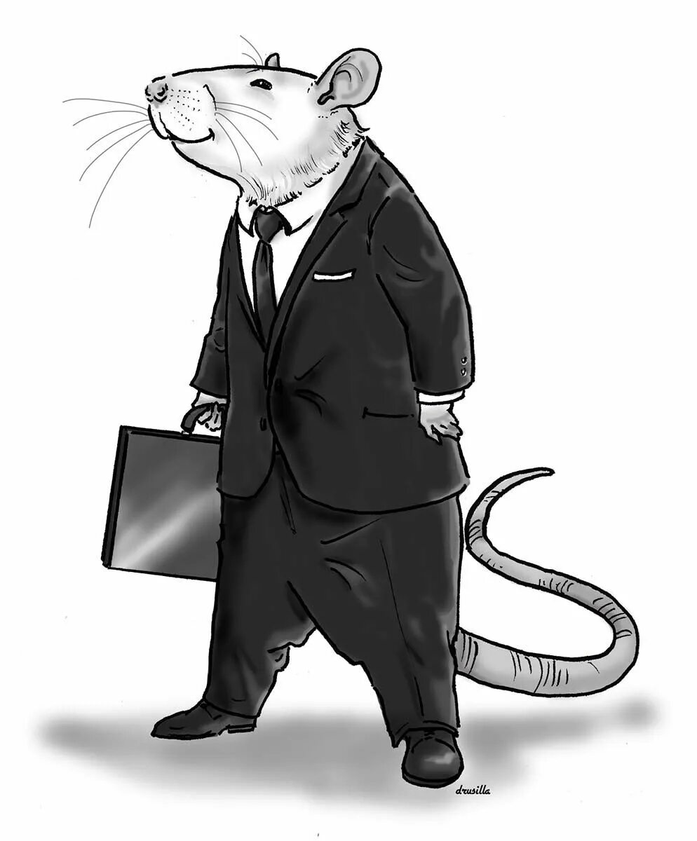 Мужчина крыса. Крыса арт. Крыса юрист. Крыса ученый. Крыса в галстуке.