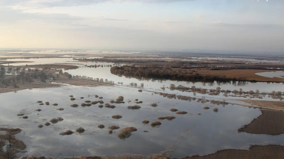 Уровень воды в реке ока город рязань. Разлив реки Оки 2022. Разлив Оки в Рязани 2022 году. Разлив Рязань 2022. Наводнение Рязань 2022.