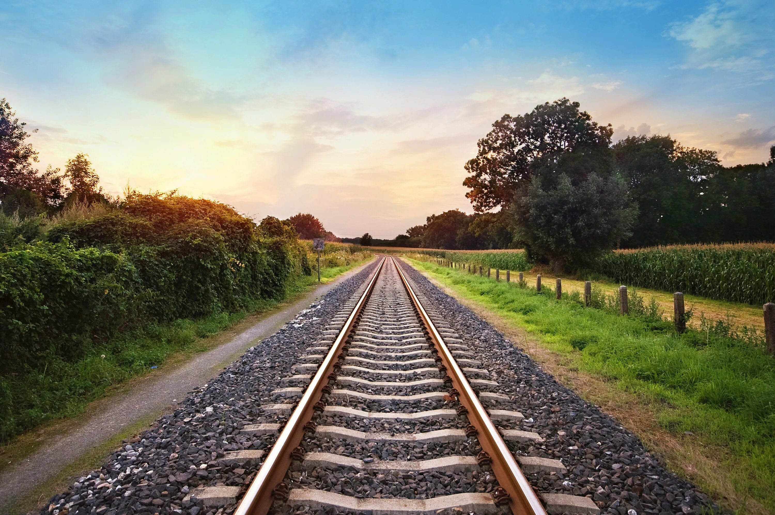 Действующая железная дорога. Rail track железная дорога. Железная дорога Rail track 4110. Пейзаж с железной дорогой. Железная дорога в даль.