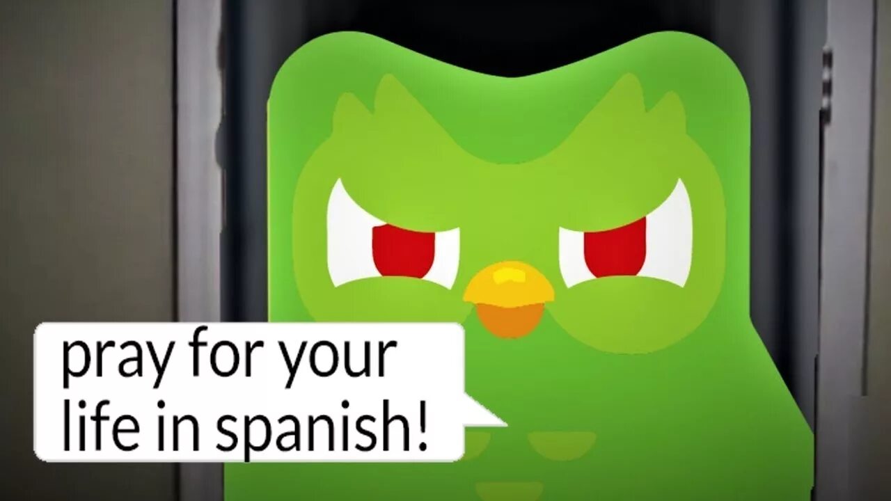 Duolingo злая. Дуолинго мемы. Сова дуолинго мем. Сова дуолинго мем. Сова дуолинго мем.