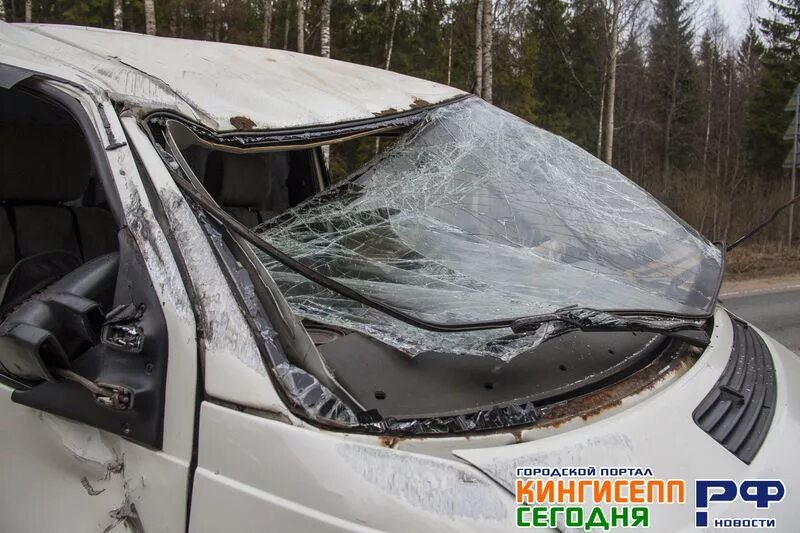 Рф. Кингисепп день города. Кингисепп рф. Кингисепп сегодня работа. Кингисепп рф 2011 года.