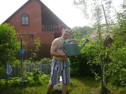 Дача голов