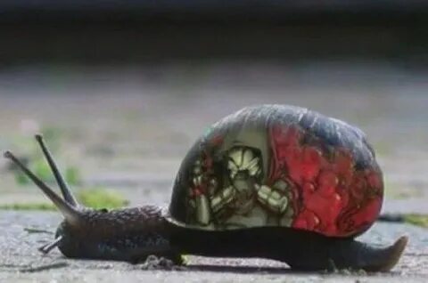 Slow 10