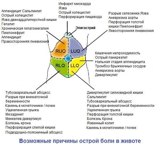 Что болит спереди с левой стороны внизу живота у мужчин. Болит живот снизу слева в боку. Боль слева снизу живота у мужчин причина. Ноющая боль снизу слева. Тянет внизу справа у мужчин