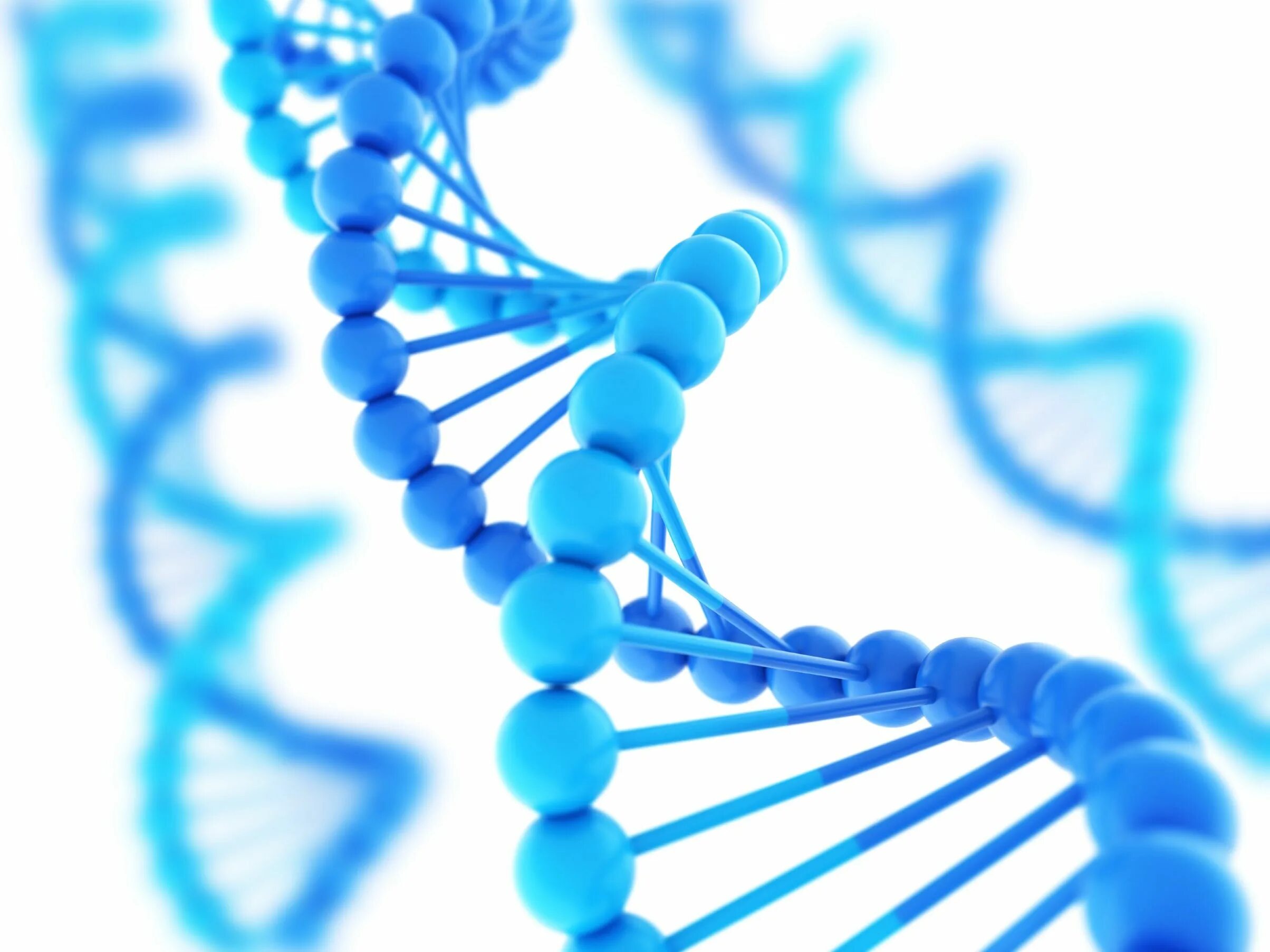 Наследственность ДНК. Молекула ДНК. Молекулярная биология и генетика. Цепочка ДНК.