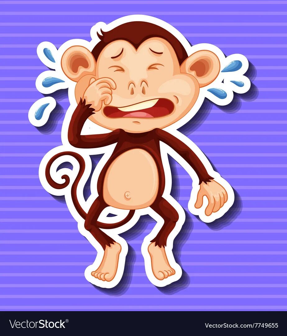 Monkey crying