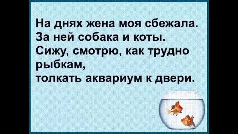 Ушла жена как жить. Сижу смотрю как трудно рыбкам толкать аквариум к двери. Толкать аквариум к двери. Аквариум толкать трудно рыбкам. Рыбки толкают аквариум к двери.