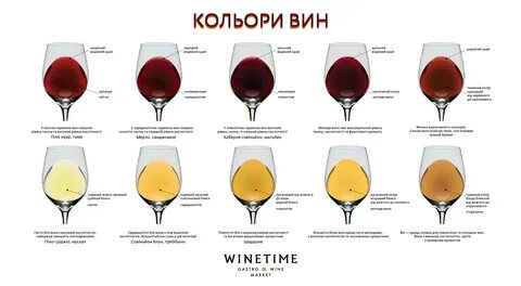 Оттенки вкуса вина