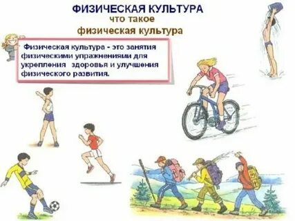 Физическая культура как феномен