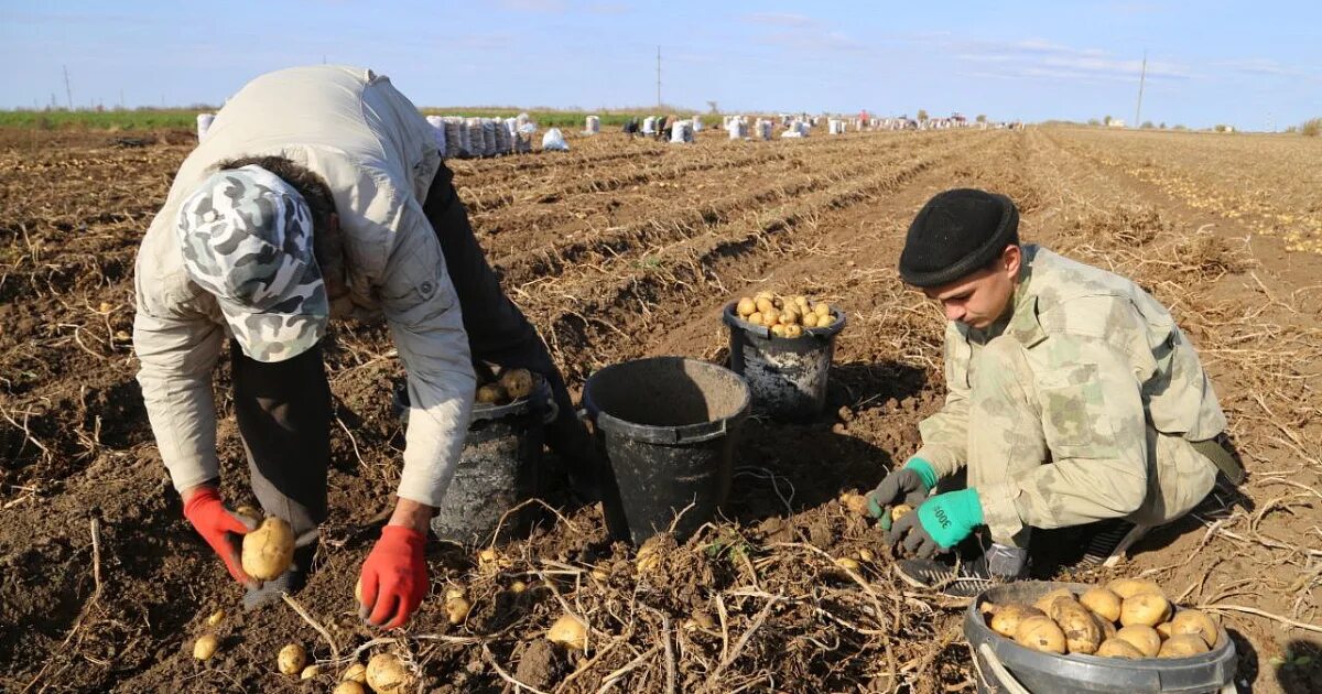 Субсидии на личное подсобное хозяйство. Хозяйство Крыма. Свое фермерство. Аварии в сельском хозяйстве. Продовольствие.