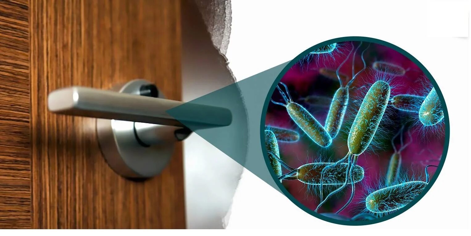 Любой поверхности и можно. Микробы на дверной ручке. Бактерии на поверхности предметов. Бактерии на ручке двери. Микробы на поверхности.