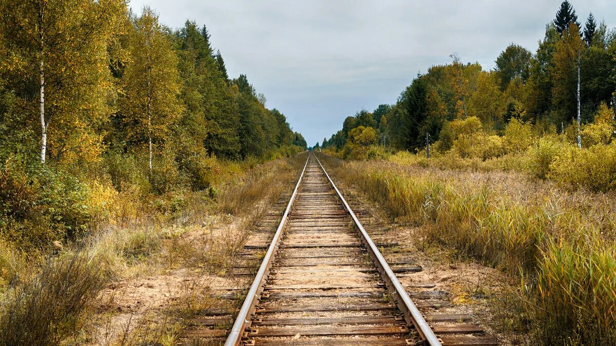 1 км железной дороги стоит. Соблаго. Соблаго Тверская область. Торжок Кувшиново железная дорога. Торжок Соблаго.