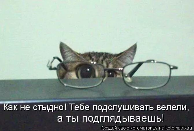 День заглядывания в замочные скважины. Любопытство картинки. Подслушивает смешно. Как называется человек который любит подглядывать. День заглядывания в замочные скважины.