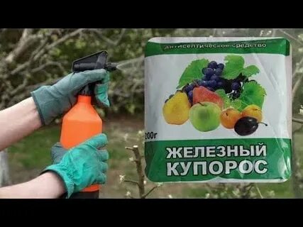 Купорос осенью