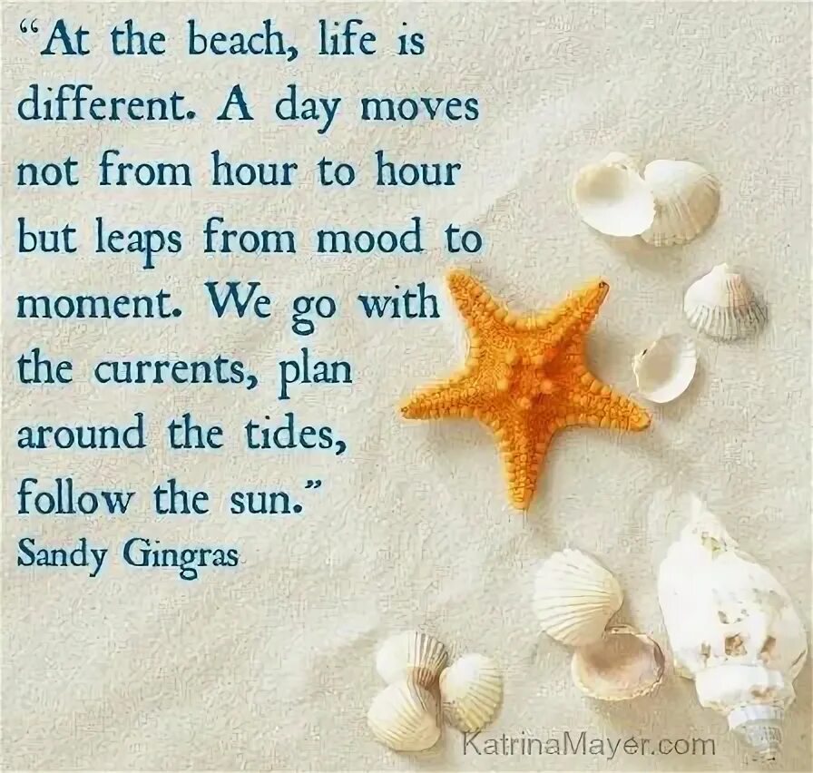 Life is beach. She sells Seashells on the Seashore скороговорка. Высказывания про пляж. Бич цитаты. Clean Beach slogan.