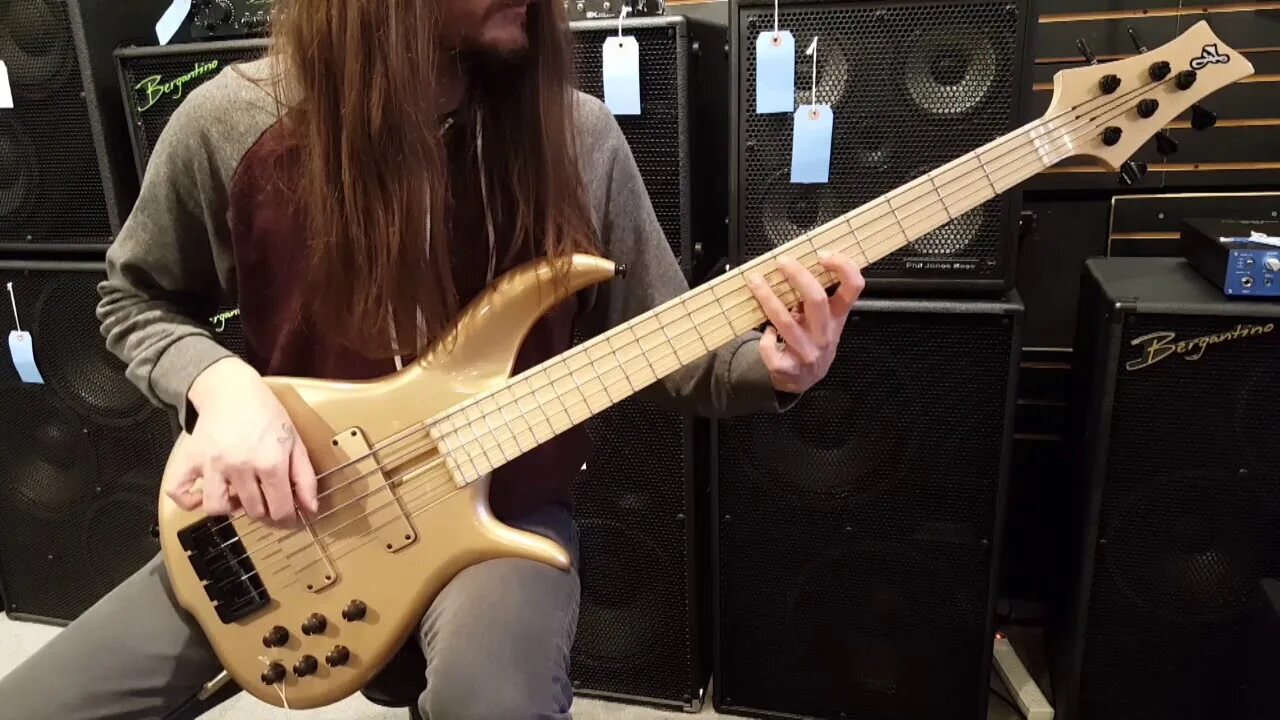 F bass. F Bass bn5. F-Bass bn5 Fretless. Реальный басист ф басс. Канадском БАСЕ F-Bass.