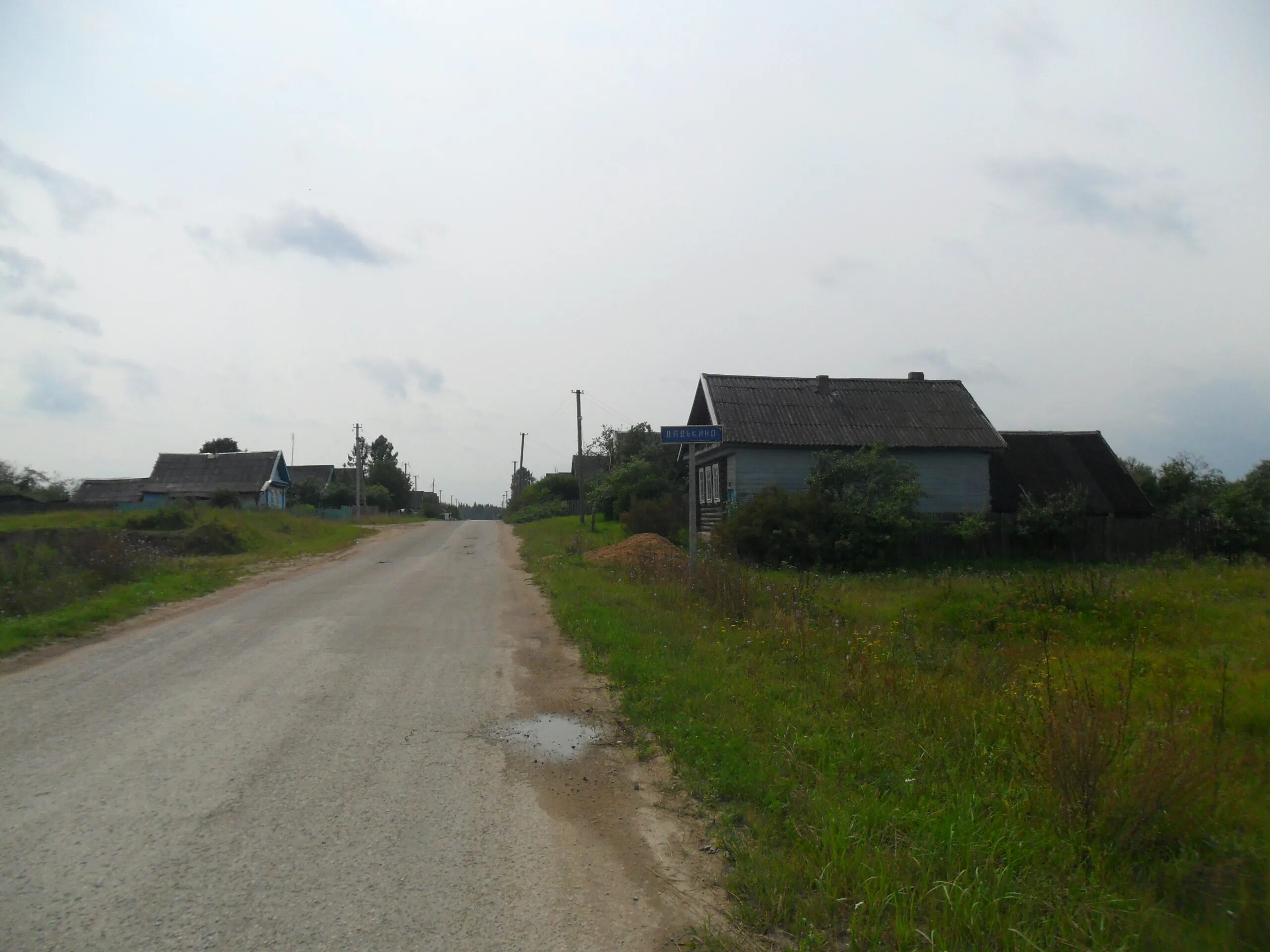 Гравийная проселочная дорога. Бортная межа. Тропинка в поле. Природа донбасса. В поле.