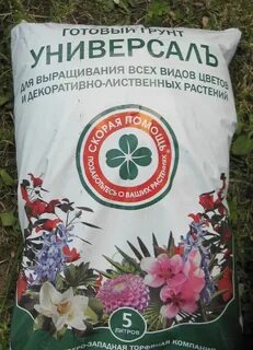 Какая земля для пересадки
