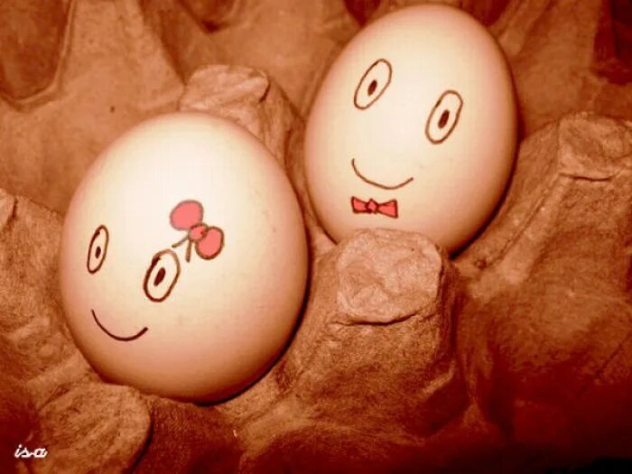 Веселые яйца. Смешные рожицы на яйцах. Смешные мордочки на яйцах. Куриные яйца на Пасху.