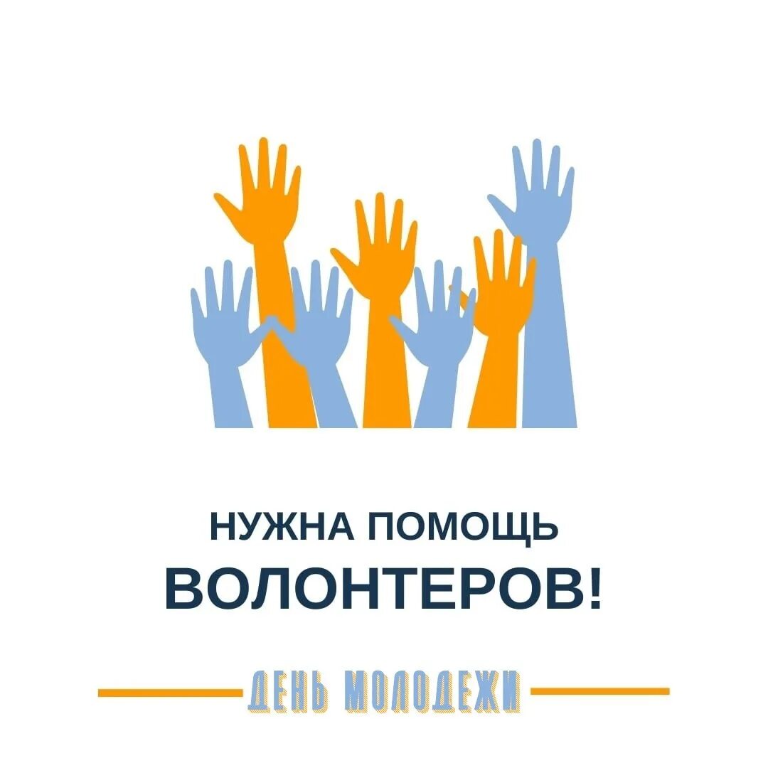 Волонтеры поиск животных. Нужны волонтеры. набор волонтеров. ищем волонтеров. внимание волонтер.