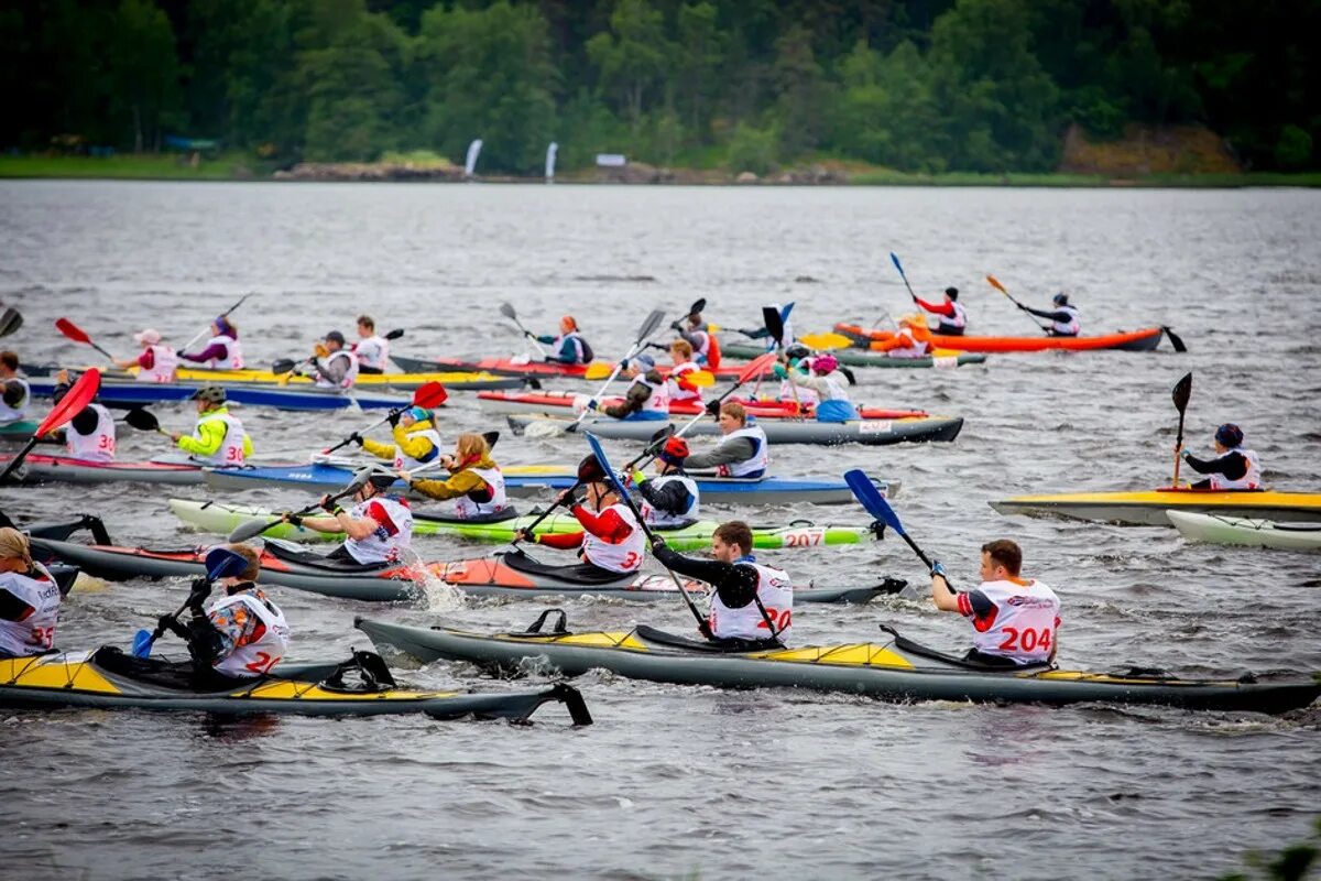 гайдарка. гребной спорт фото. гайдарка. байдарка альбатрос. гребля на байдарках и каноэ.