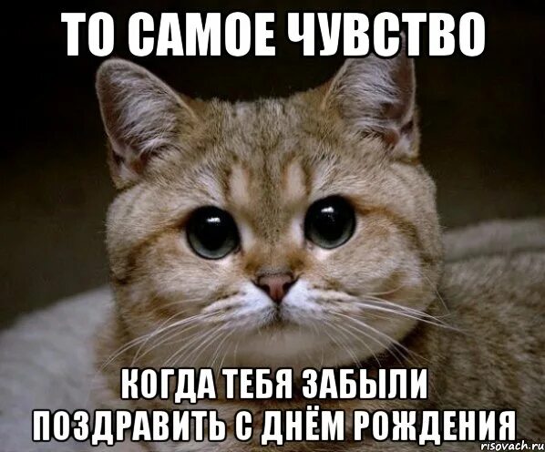 Не надо меня поздравлять с днем. Не надо меня поздравлять с днем