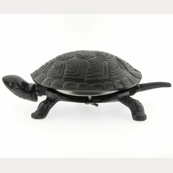 Turtle up