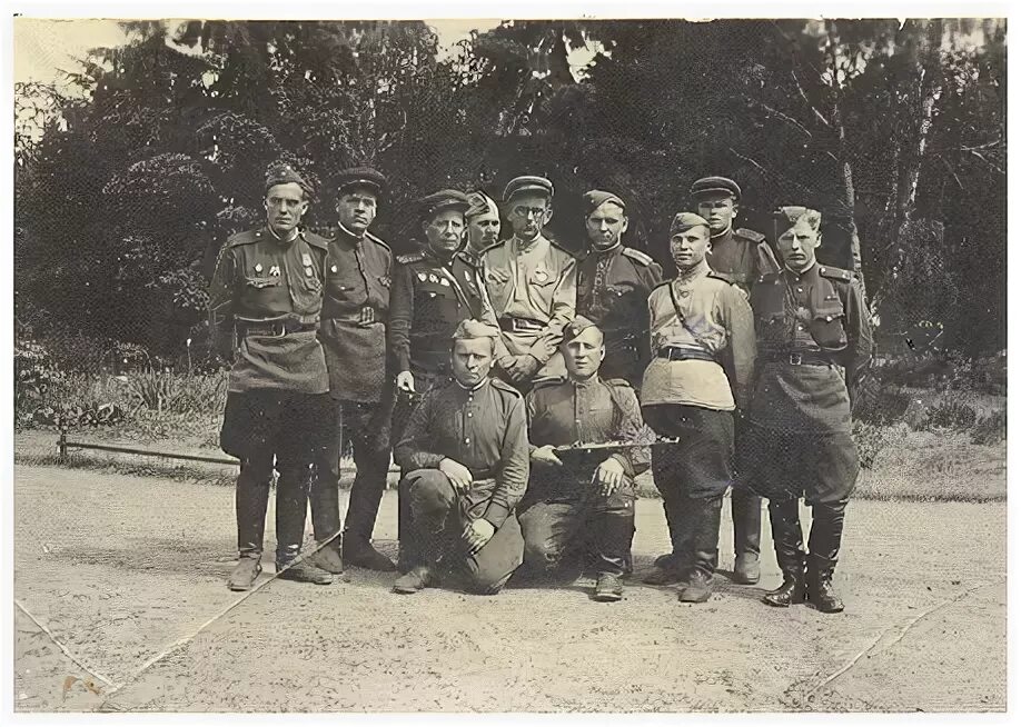 166 дивизия томск. 374 стрелковый полк 128 стрелковой дивизии. отдельный медико-санитарный батальон. 119 красноярская стрелковая дивизия. командиры 166 стрелковой дивизии.