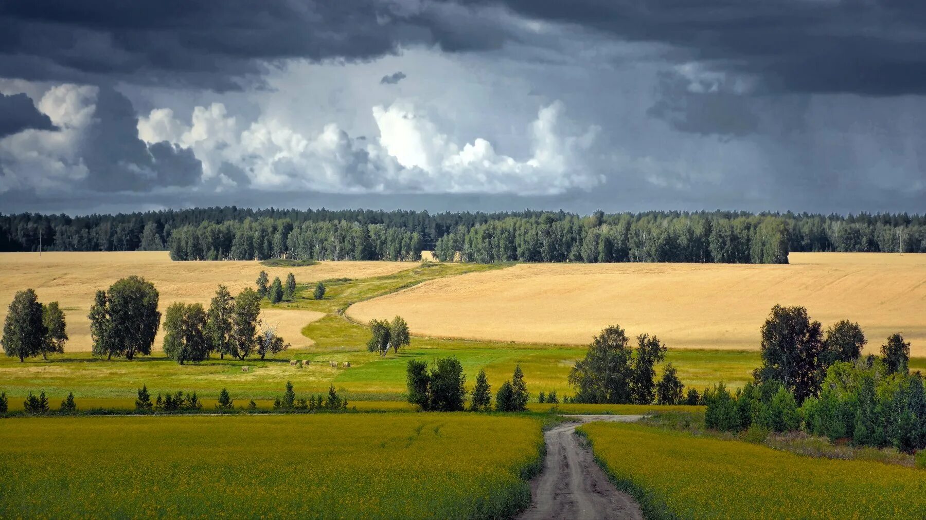 Поверхность земли края. Зауралье Курганская область. Равнины Курганской области. Курган природа Зауралья Курганская область. Курганская область пейзажи природы Курганская область.