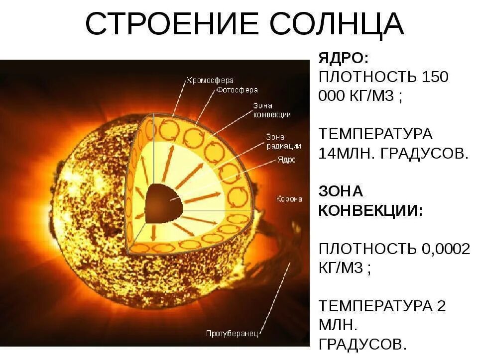 Как называют плотную структуру внутри ядра. Внутреннее строение солнца схема. Внутреннее строение солнца с температурой. Внутреннее строение солнца слои. Строение атмосферы солнца таблица.