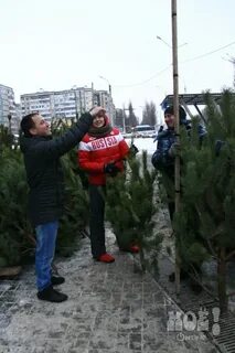 Елочный базар белгород