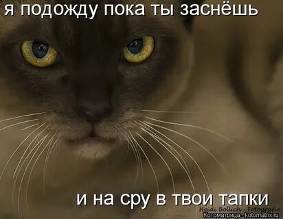 Подождала пока уснет