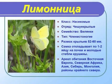 Краткое описание класса