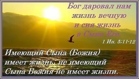 Только богу сыновей