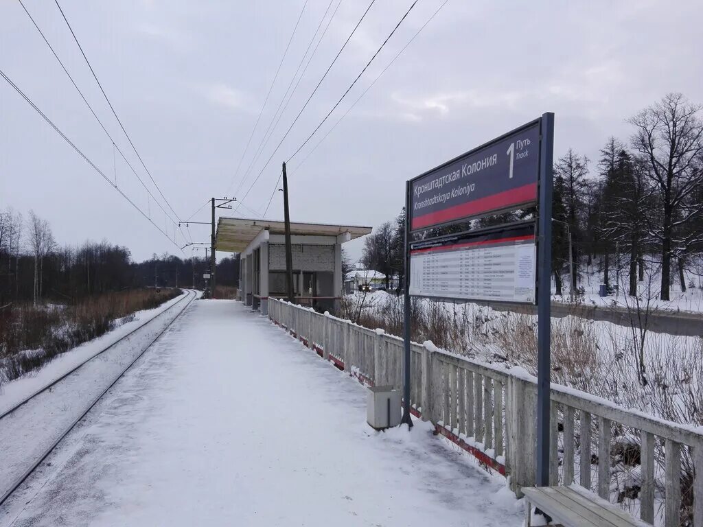 станция кронштадт. попов в кронштадте. станция кронштадт. кронштадтская колония платформа. итальянский пруд в кронштадте.