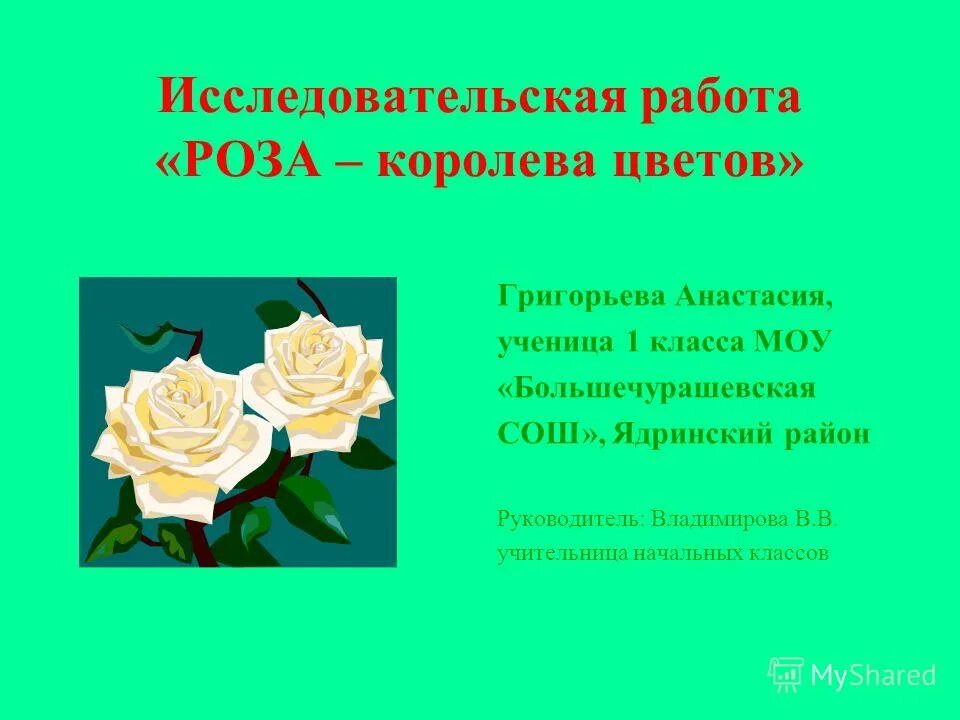 Почему розу назвали розой. Розы для презентации. Доклад о Розе. Проект про розу. Розы на работе.