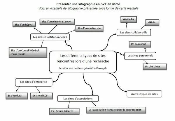 Type site. Types of websites. Website with Associations. Sites type 1